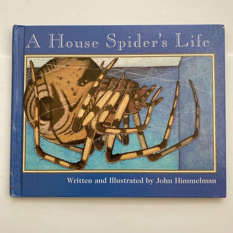 A House Spider's Life (Nature Upclose)