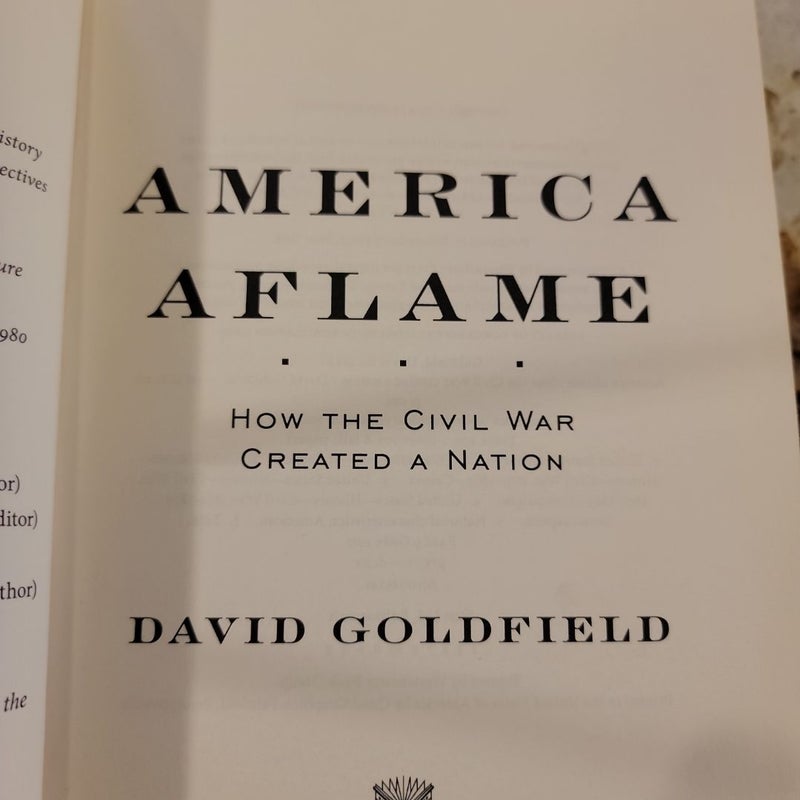 America Aflame -How the Civil War Created a Nation