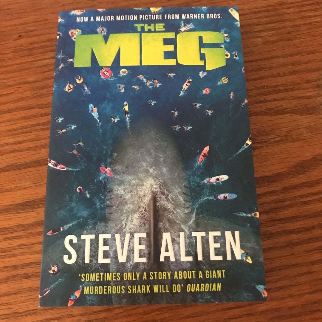 The MEG