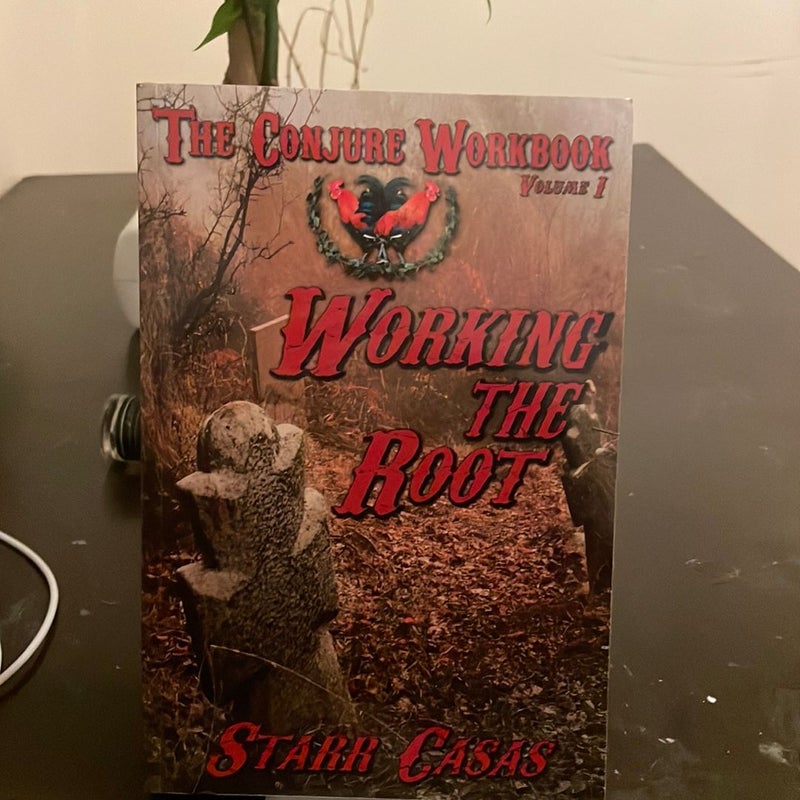 The Conjure Workbook Volume 1