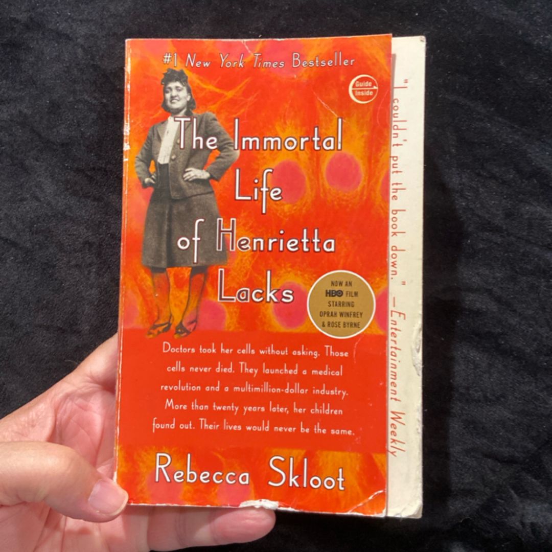 Sale image for f10e41ae-7386-4145-97b9-3de5728f5d76-3NIRsoV5NlVuIOm0APkfRuavFo03