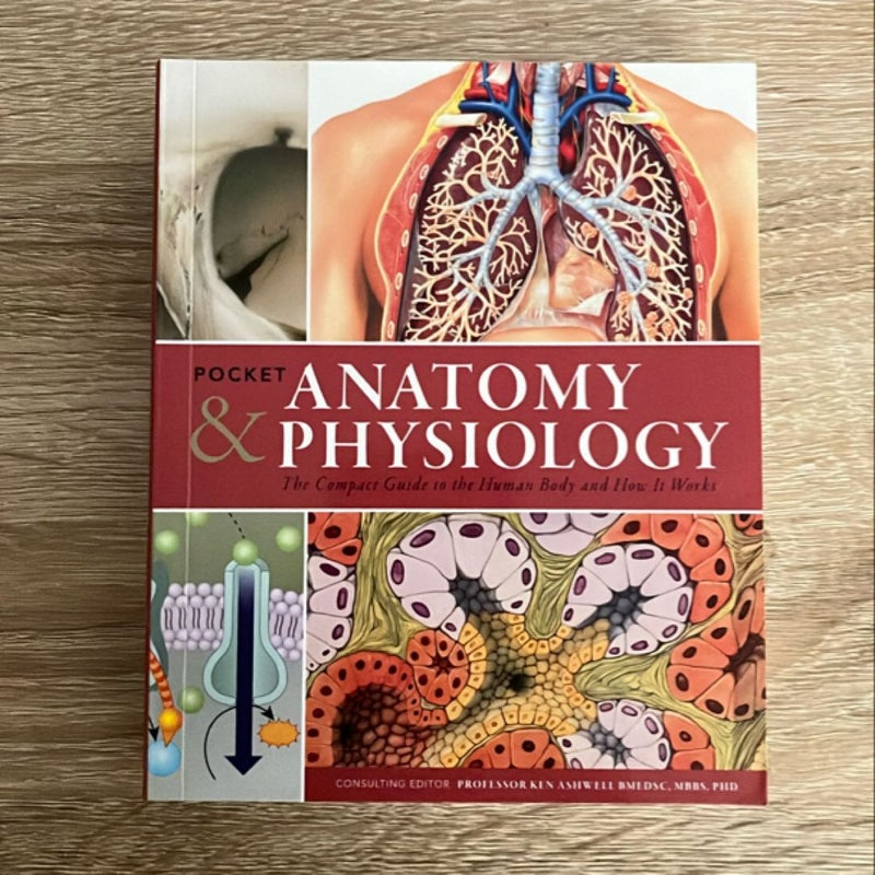 Pocket Anatomy and Physiology