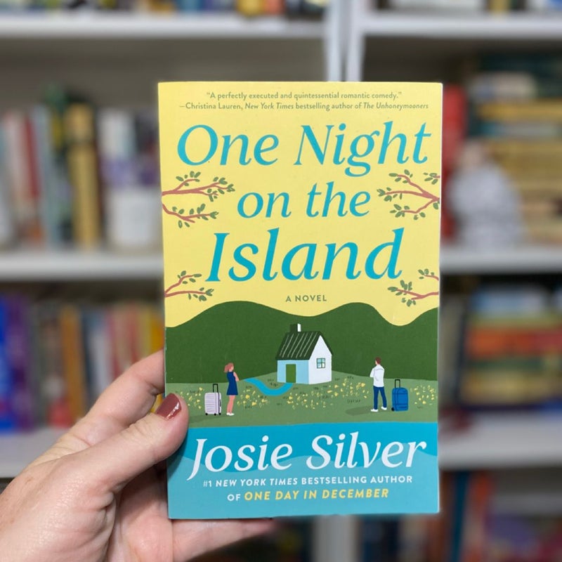 One Night on the Island