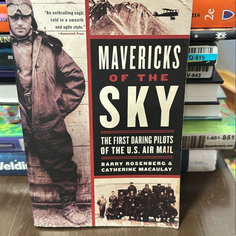 Mavericks of the Sky