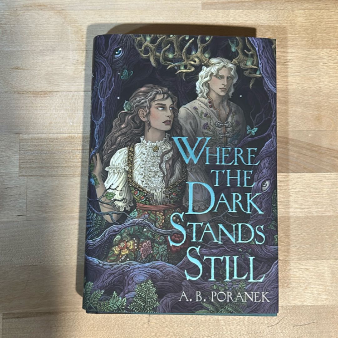 Where the Dark Stands Still