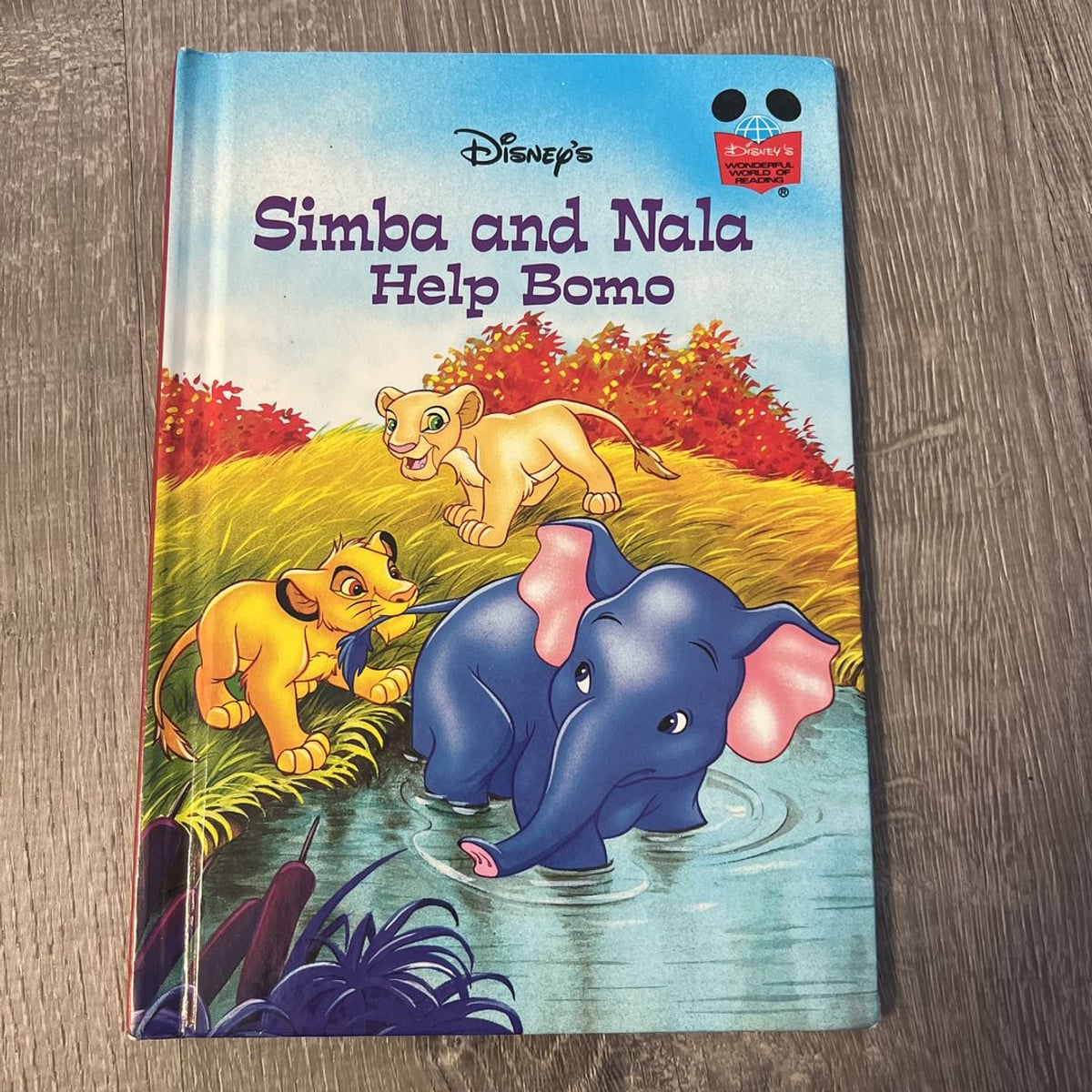 I Am Simba (Disney the Lion King) by John Sazaklis