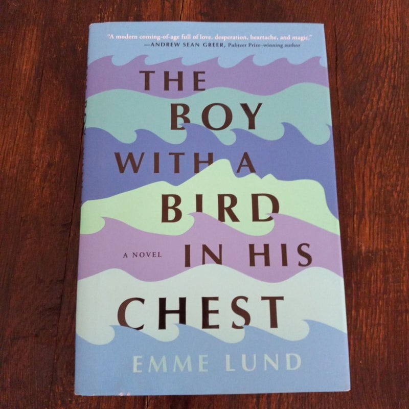 The Boy with a Bird in His Chest