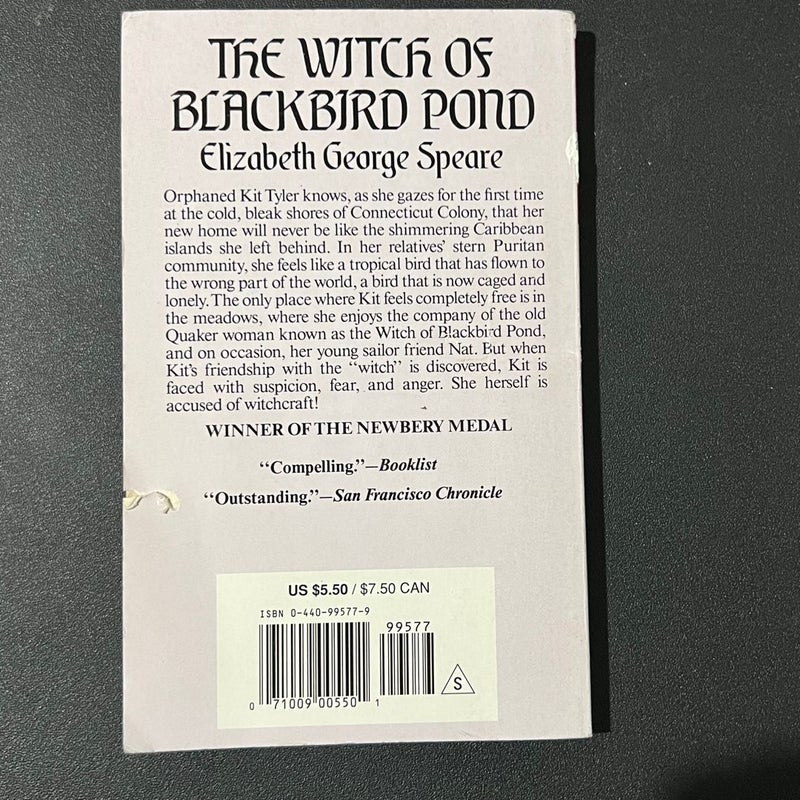 The Witch of Blackbird Pond