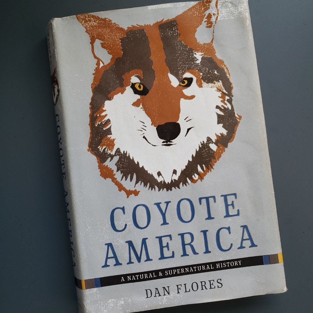 Coyote America