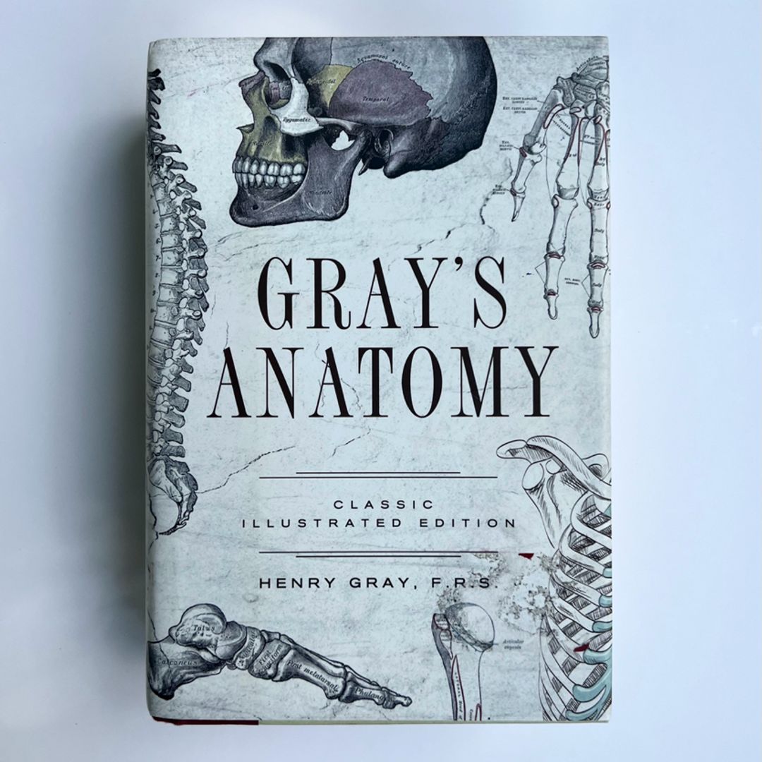 Gray's Anatomy