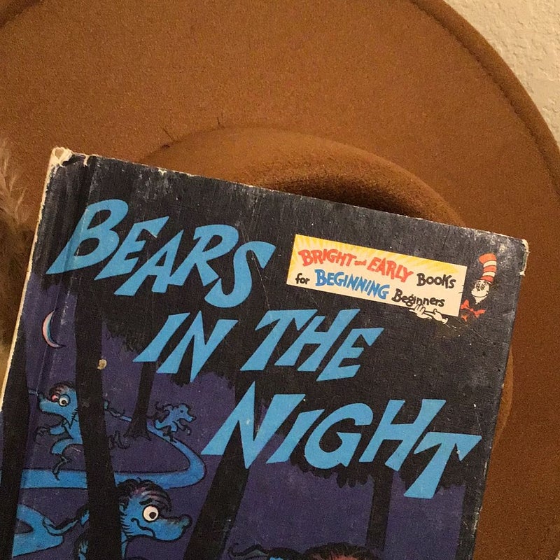 Bears In the Night 