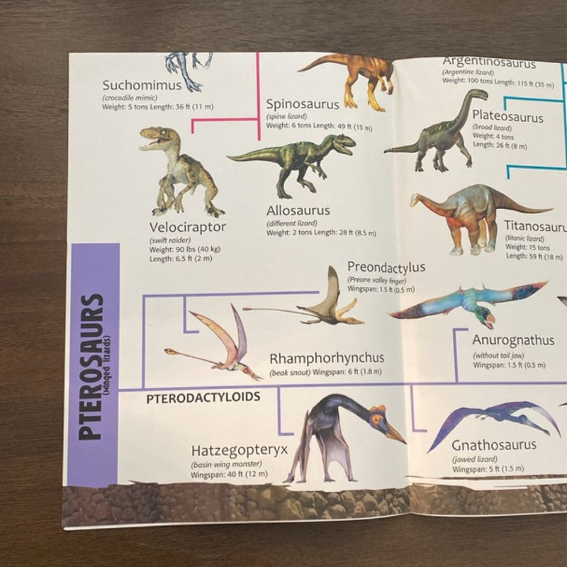 Wonders of Learning Discover Dinosaurs Hardcover and Dinosaur Discovery Poster