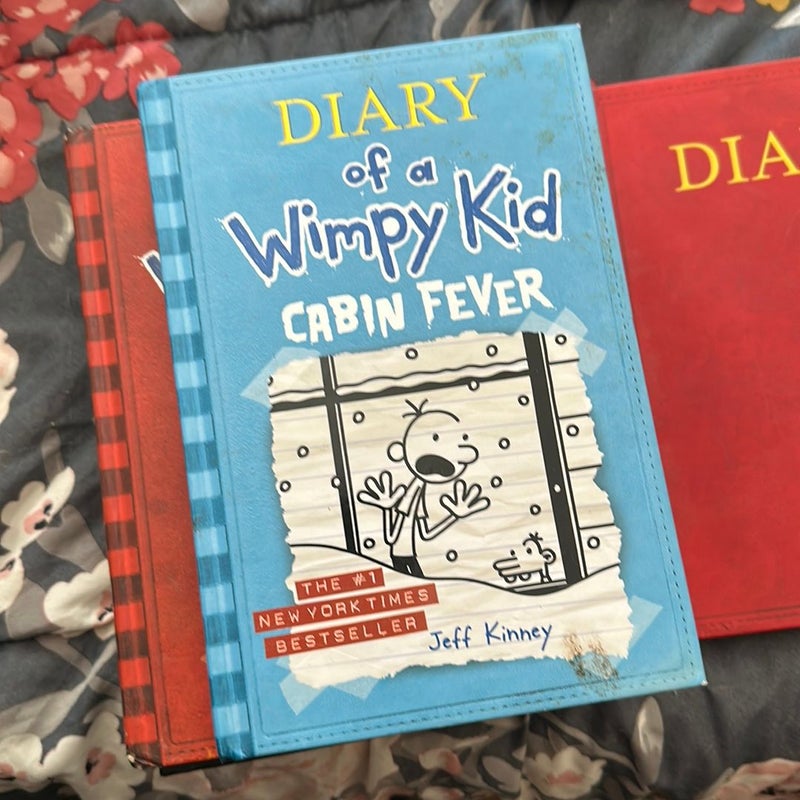 Diary of a Wimpy Kid # 6