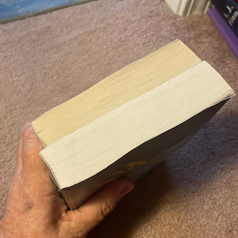 2 book bundle - Home Again and home front