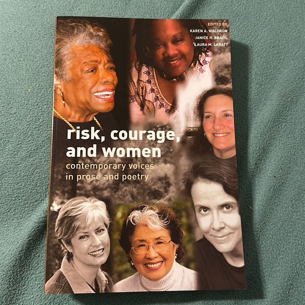 Risk, Courage, and Women by Laura M. Labatt, Paperback | Pangobooks