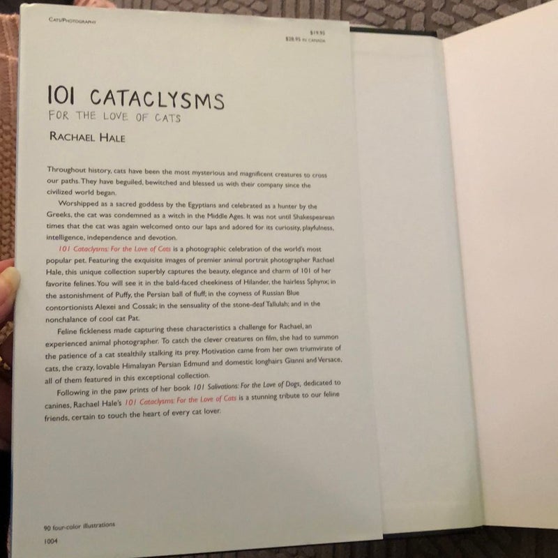 101 Cataclysms
