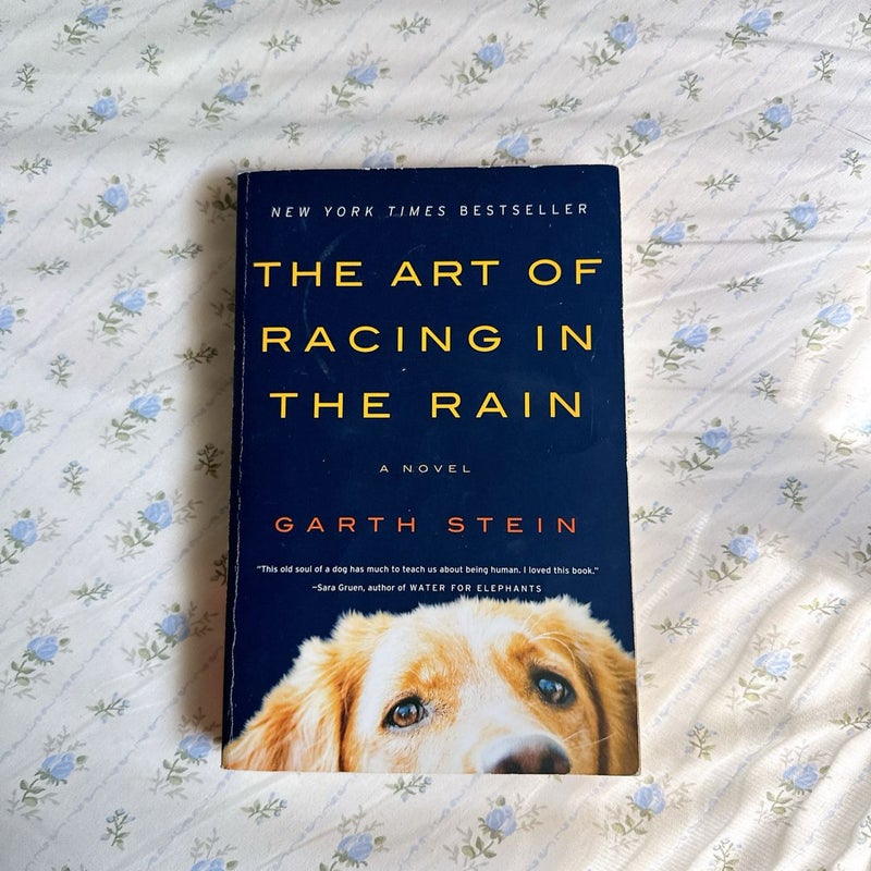 The Art of Racing in the Rain