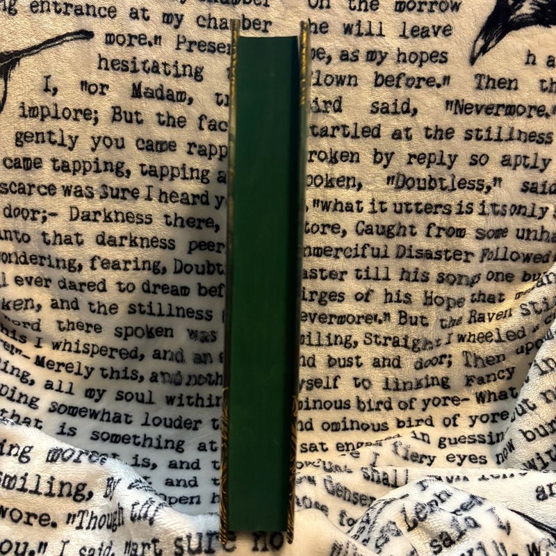One Dark Window: Fairyloot Edition (slight end paper damage, see all photos)