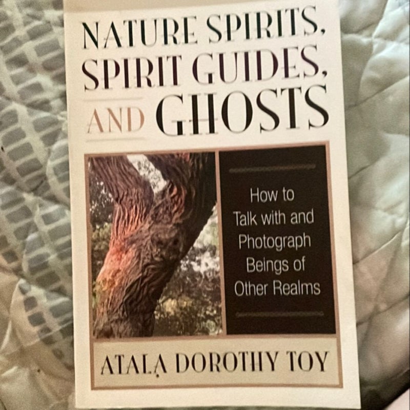 Nature Spirits, Spirit Guides, and Ghosts