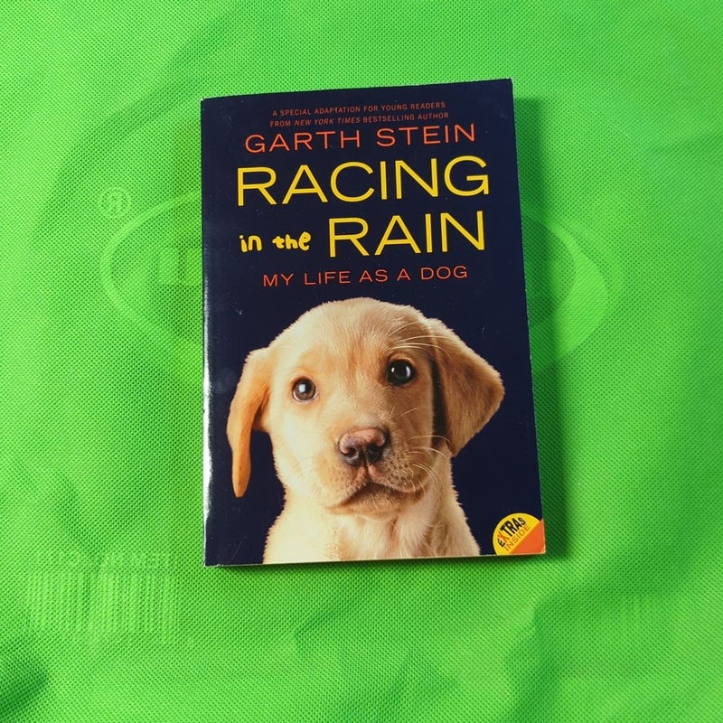 Racing in the Rain