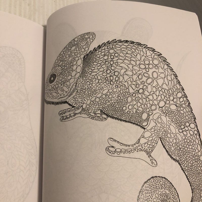 Adult Coloring Books: Animals