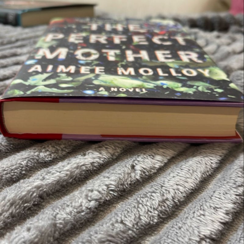 The Perfect Mother