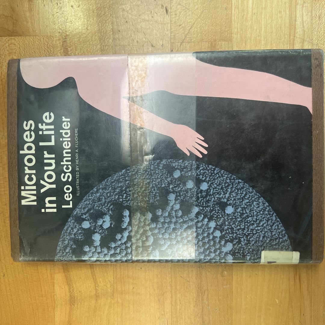 Say Yes to Your Life