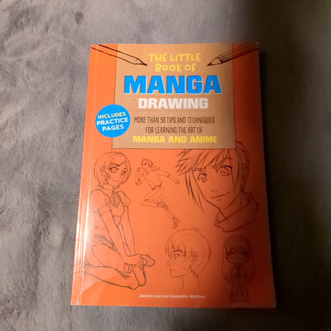 The Little Book Of Manga Drawing