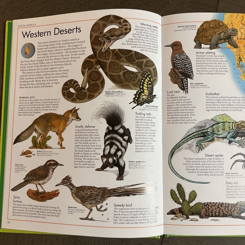 The animal Atlas 