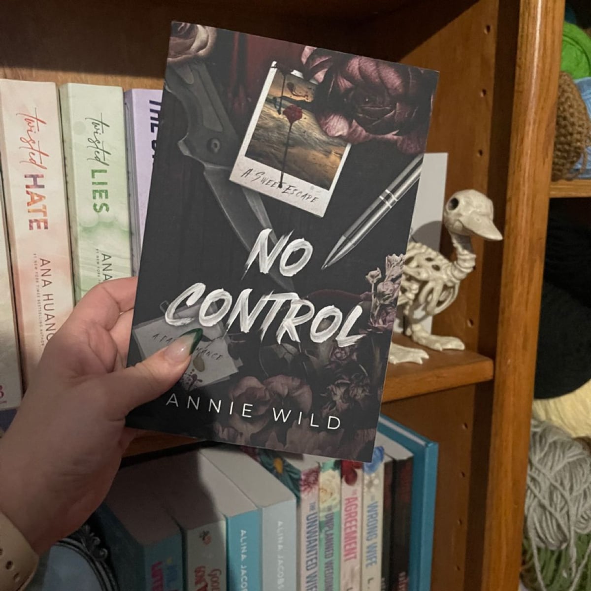 No Control by Annie Wild