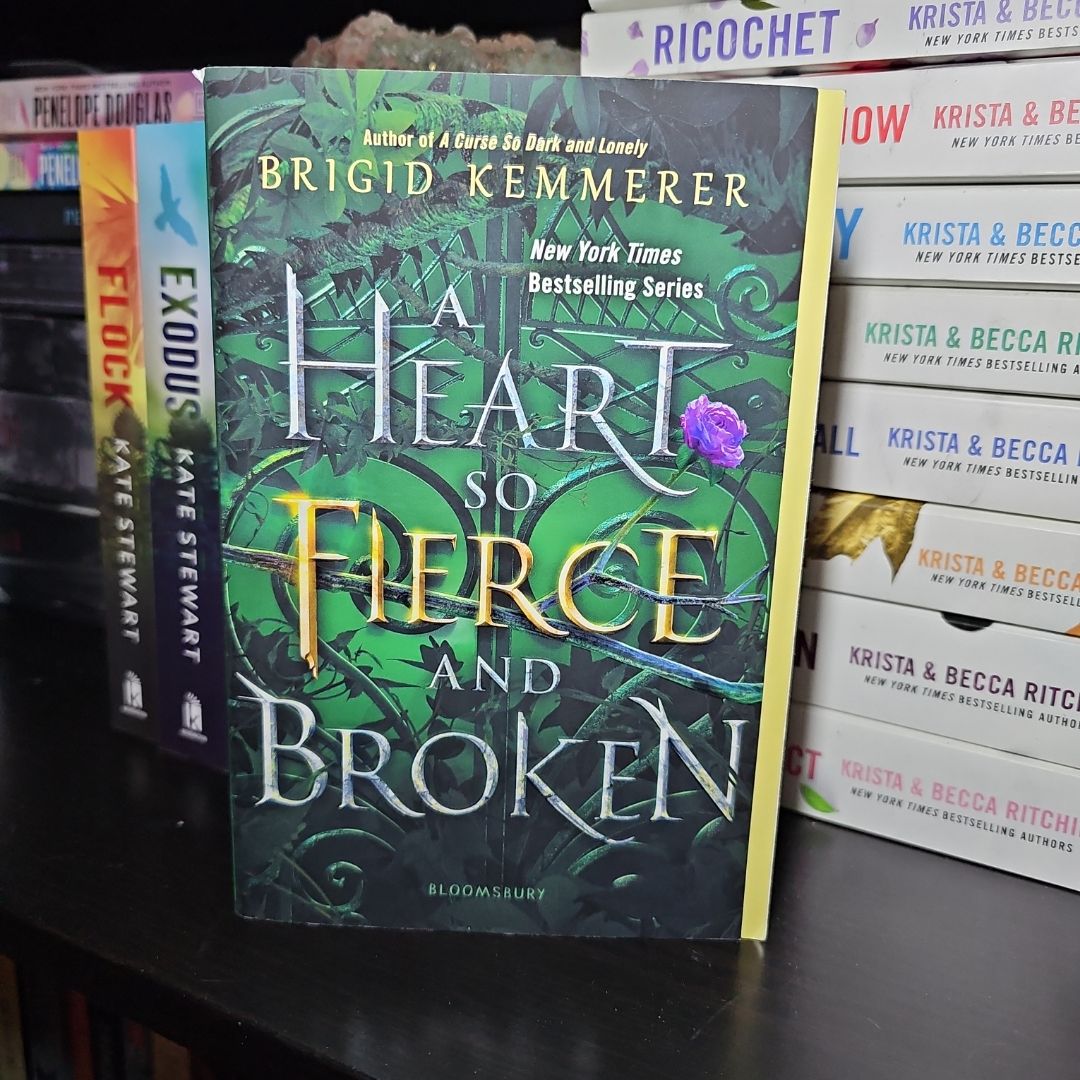 A Heart So Fierce and Broken