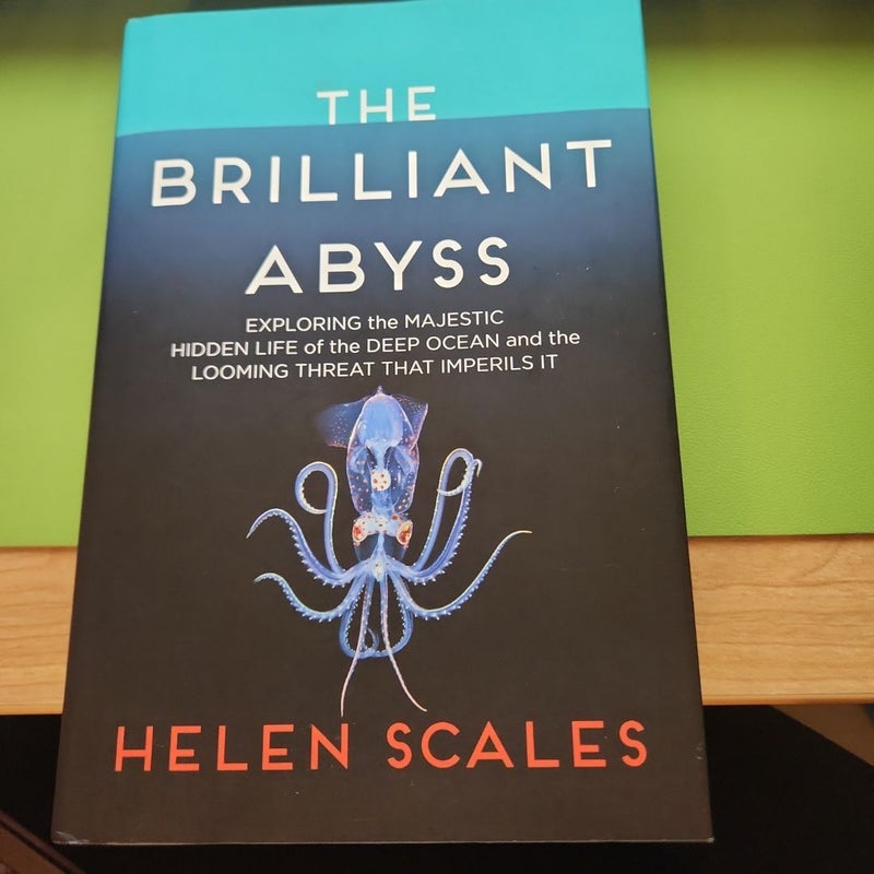 The Brilliant Abyss