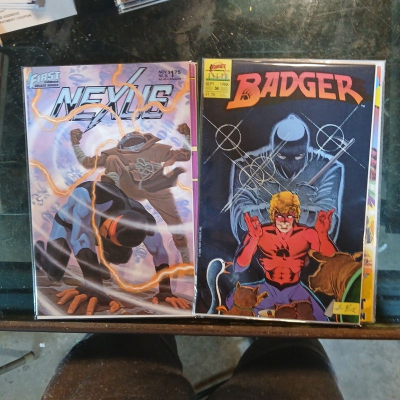 Indie comic lot of 20