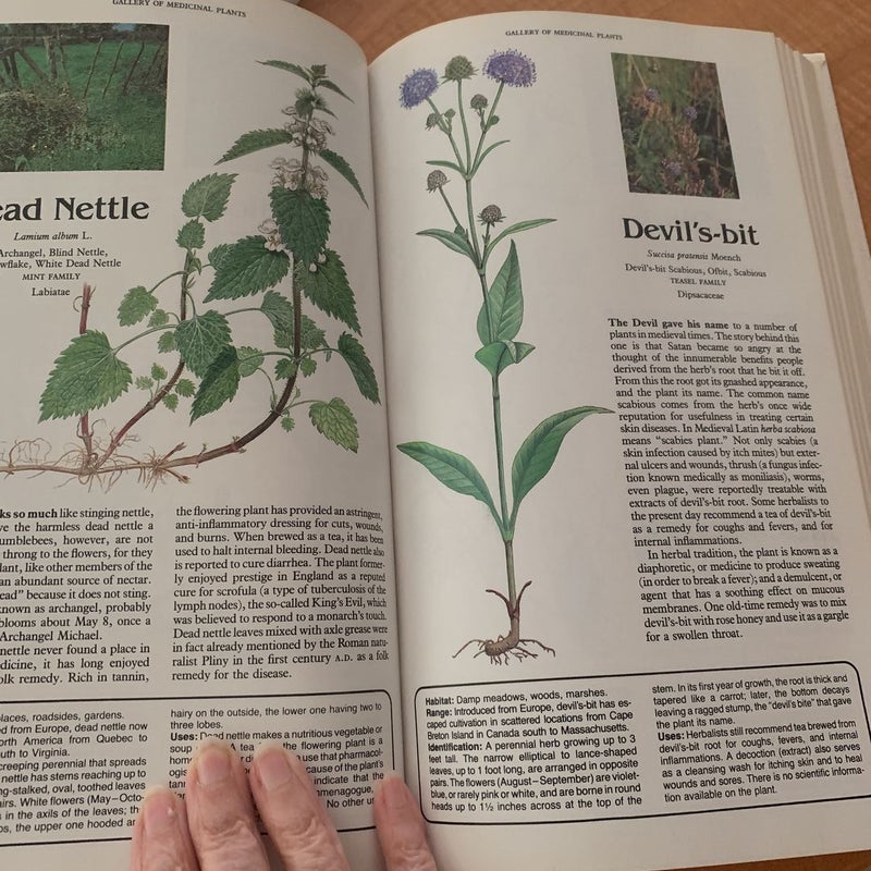 Magic and Medicine of Plants