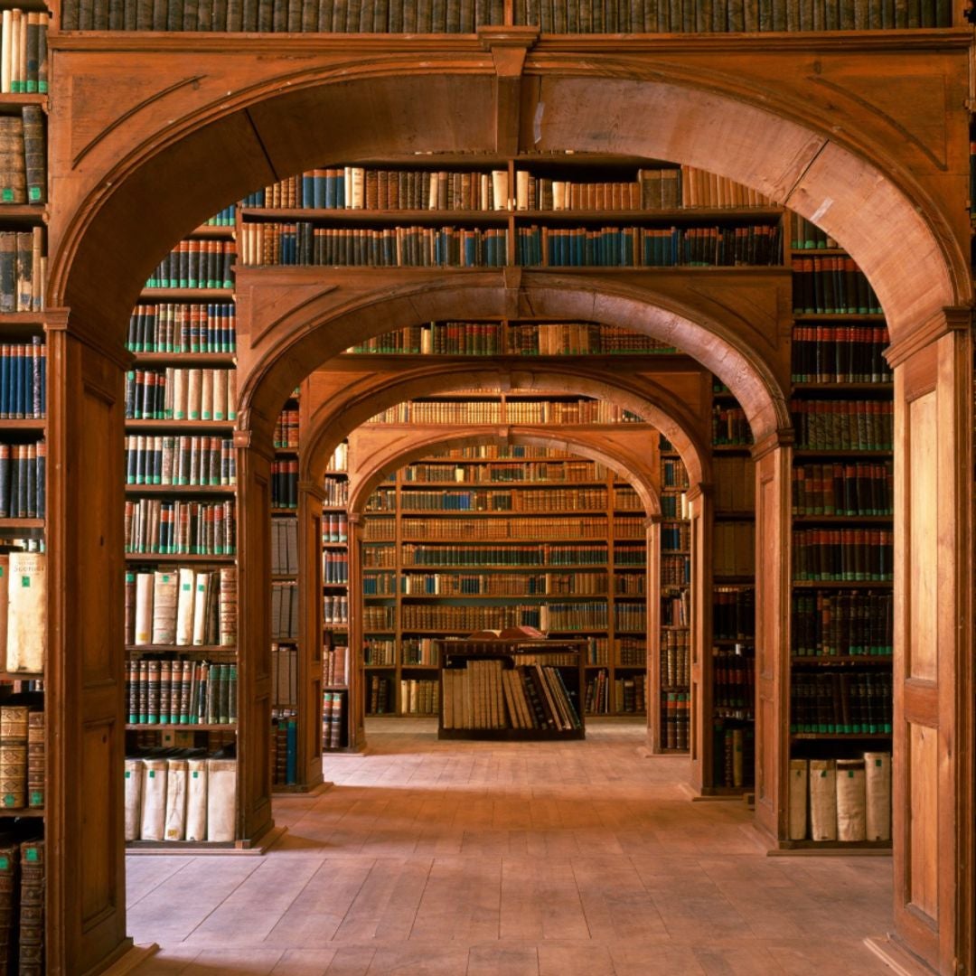 GiraffeSpotLibraries