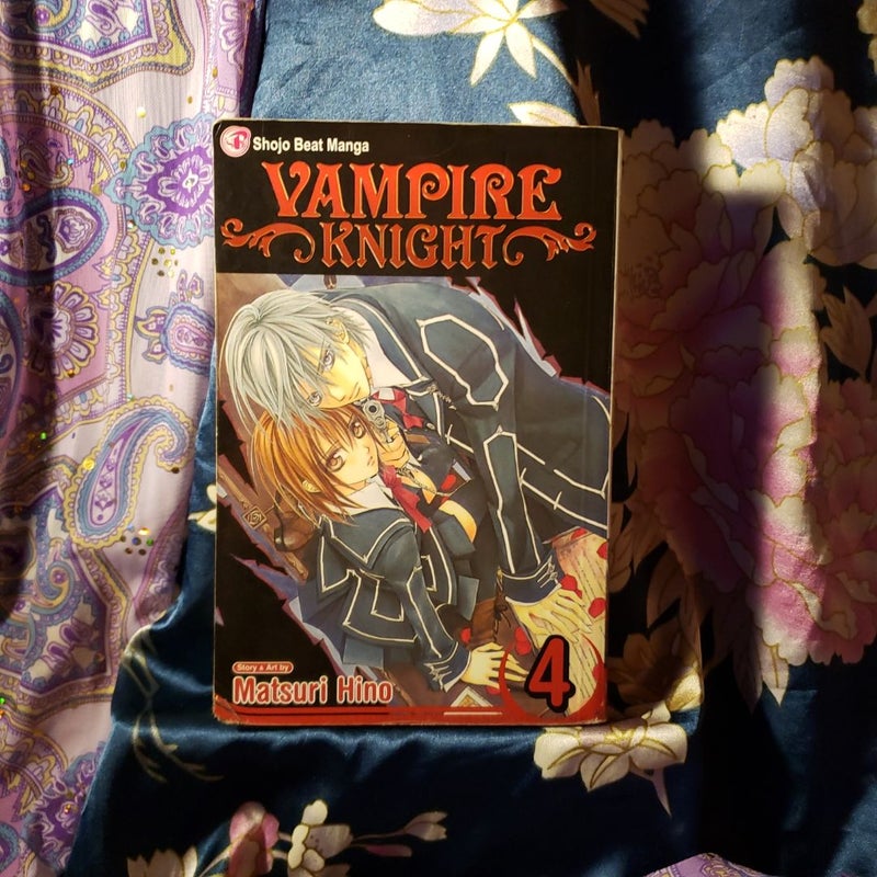 Vampire Knight, Vol. 4