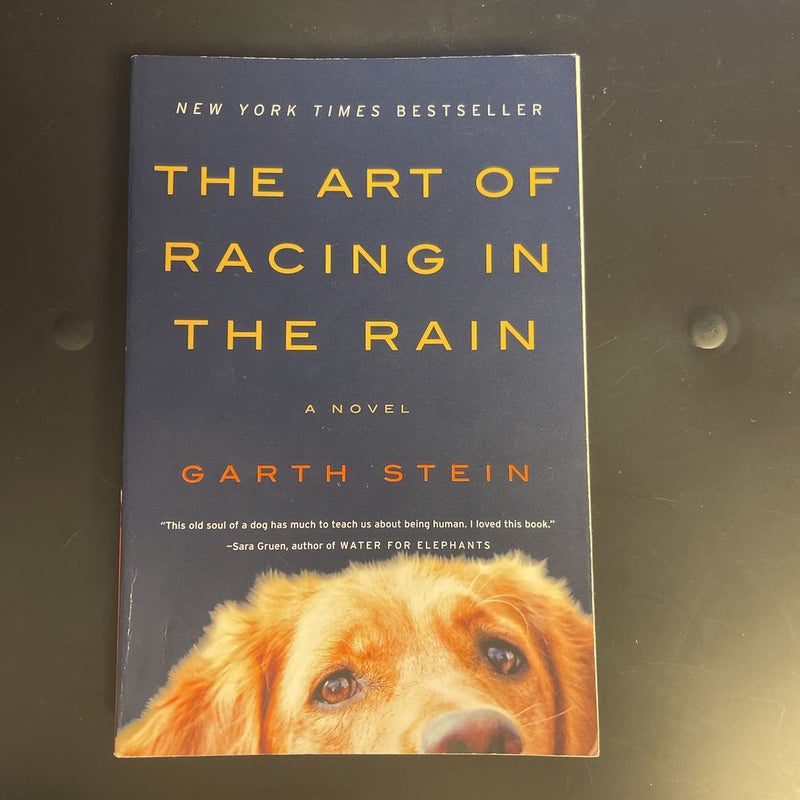 The Art of Racing in the Rain