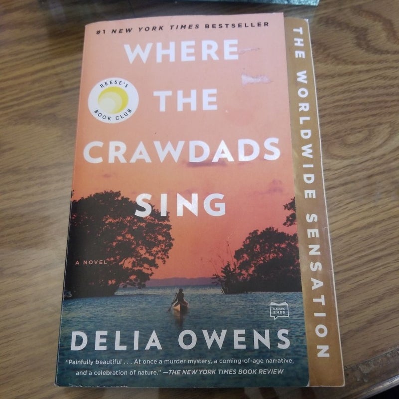 Where the Crawdads Sing