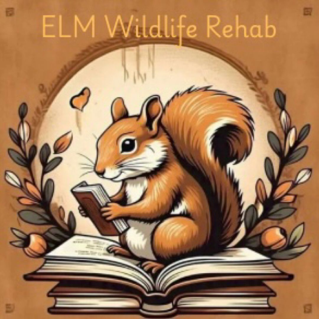 ELM Wildlife Rehab