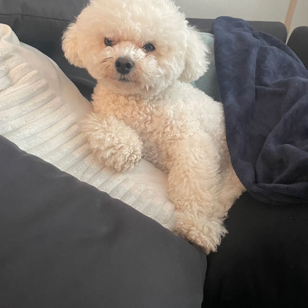 Sunnie