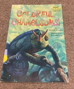 Colorful Chameleons 