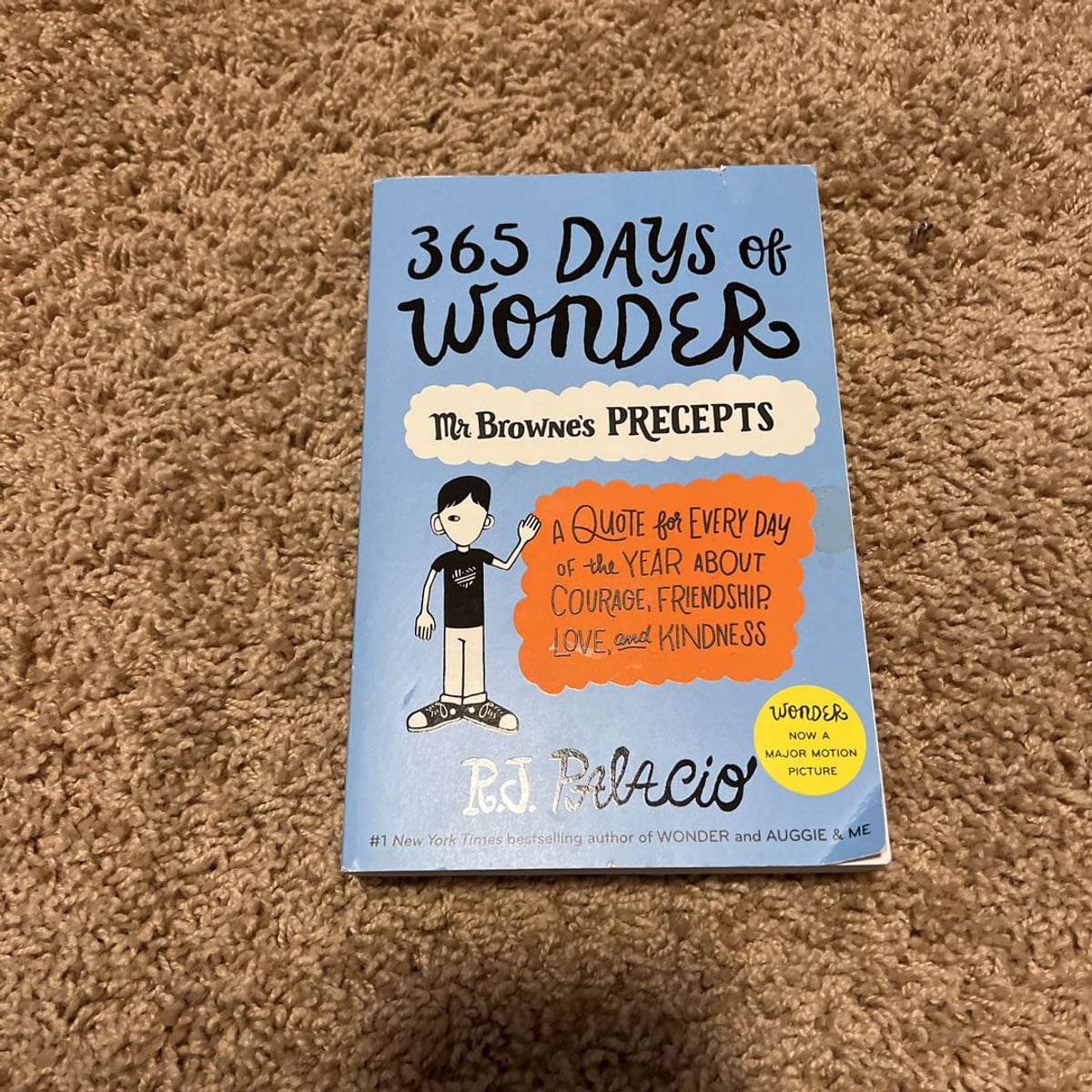 Wonder Book Precepts