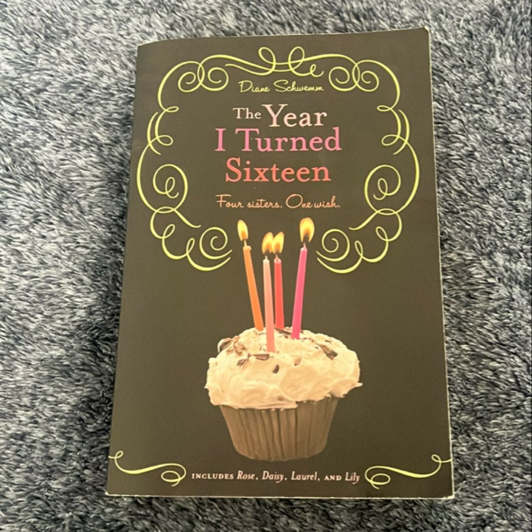 The Year I Turned Sixteen