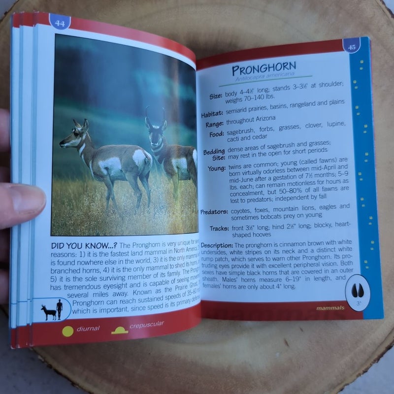 Critters of Arizona Pocket Guide