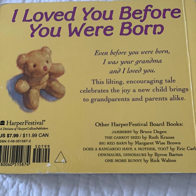 I Loved You Before You Were Born Board Book