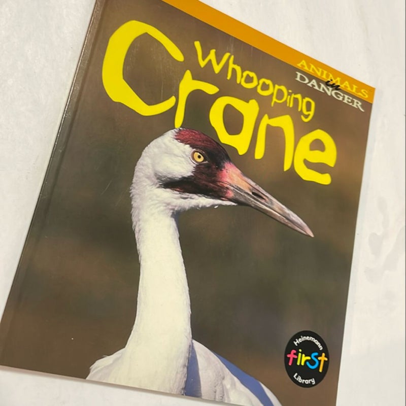 Whooping Crane