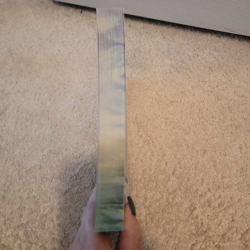 We Were Liars: Deluxe Edition