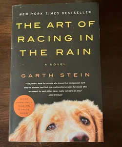 The Art of Racing in the Rain