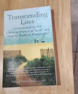 Transcending Loss