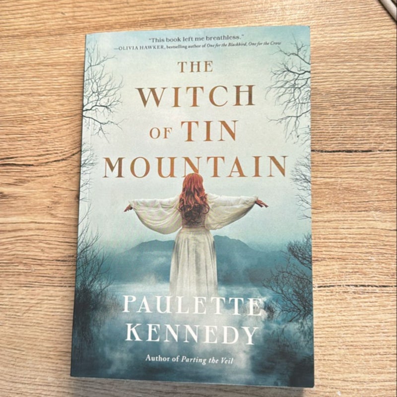 The Witch of Tin Mountain